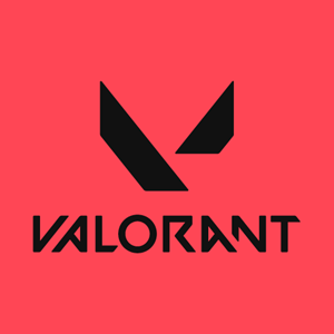 VALORANT SERVICES